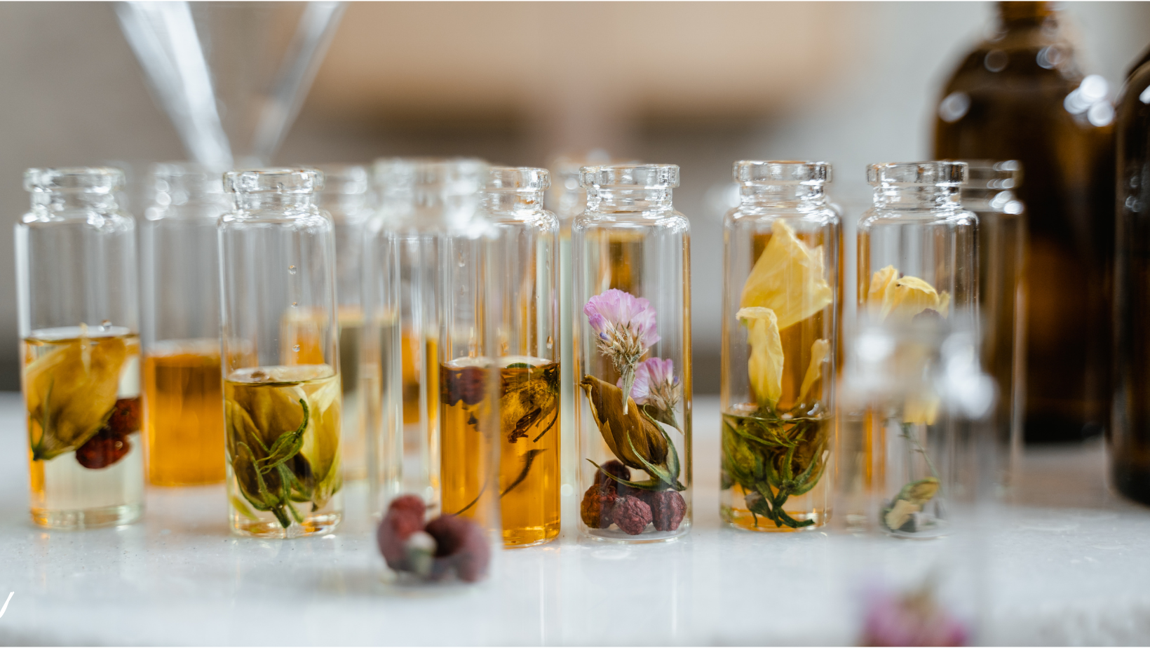 Homeopatika se vyrábí z různých přírodních zdrojů