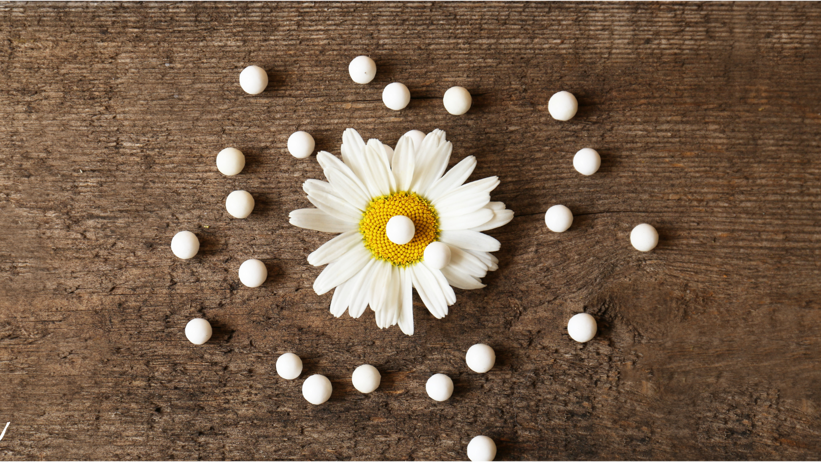 výběr homeopatického léku