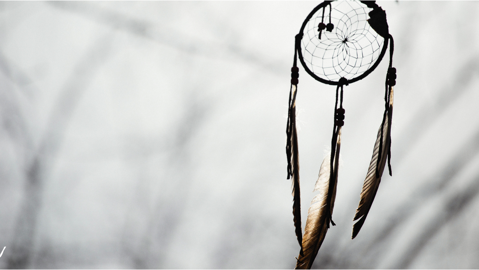 Sny jako most mezi životem a smrtí.