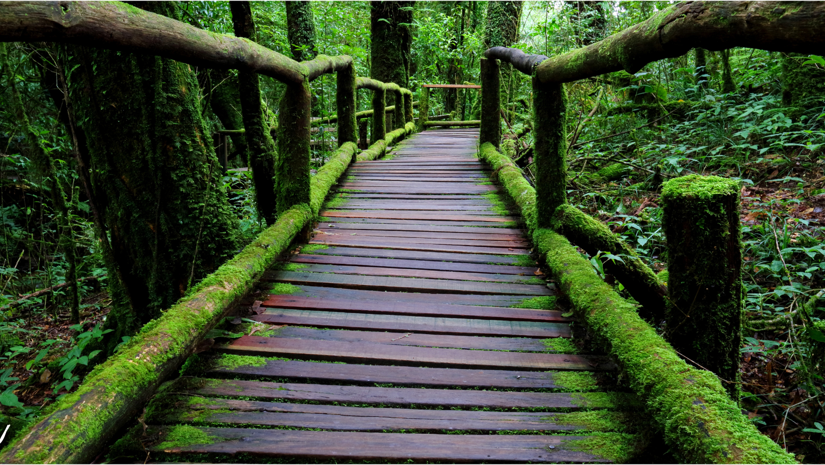 Hranice nejsou zdi, ale mosty