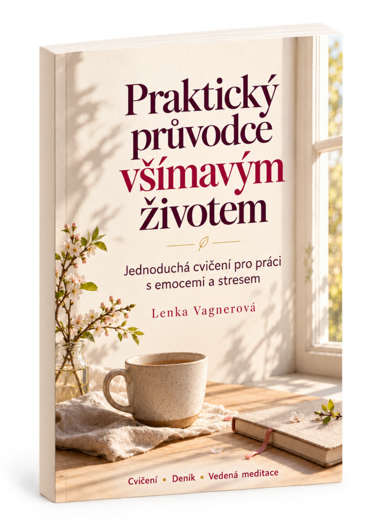Praktický pruvodce